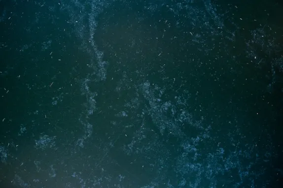 Tournaverse Casino Ënnerstëtzung